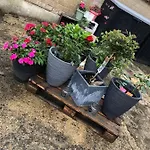 Rlguesthouses