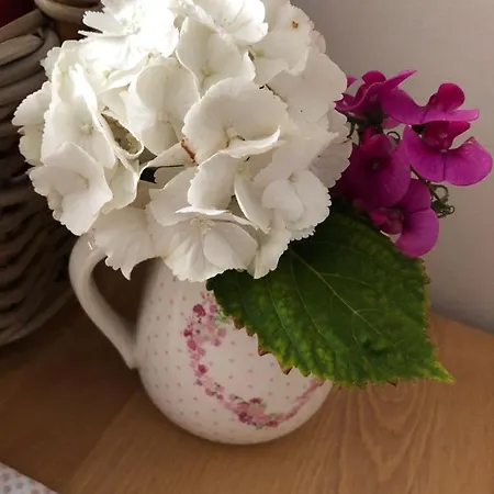 Rlguesthouses 盖伦基兴