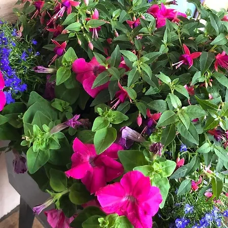 Διαμέρισμα Rlguesthouses *