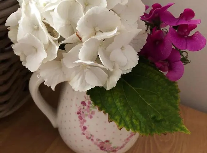 Rlguesthouses 盖伦基兴